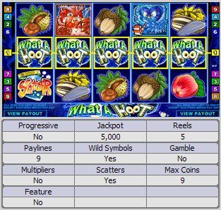 What a Hoot Online Slot Machine