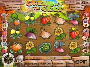 Cream of the Crop Online Slot Machine